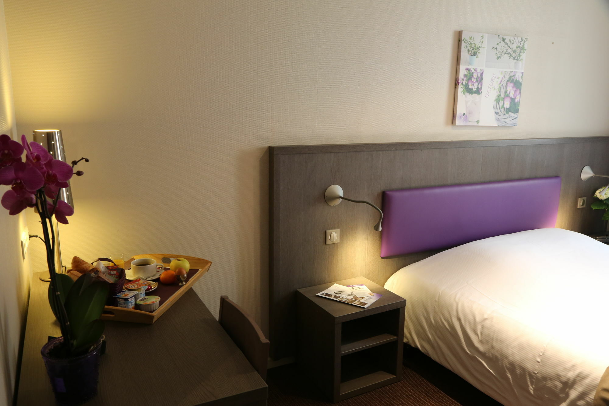 Icone Hotel - Annecy Exteriér fotografie